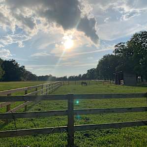 Camp at a Working Organic Farm