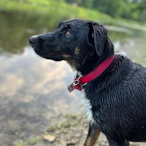 Tasha at the river