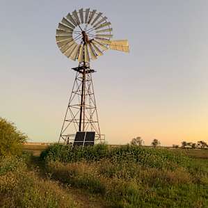 Talking Windmill