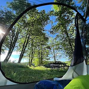 Ol' Alder Tree Tent Site Clatskanie