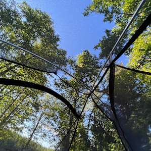 Ol' Alder Tree Tent Site Clatskanie