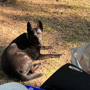 Walden Ranch Camping