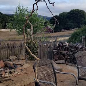 "Mi Querida" at Mission Ranch