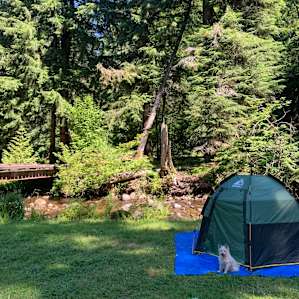 Site # 7