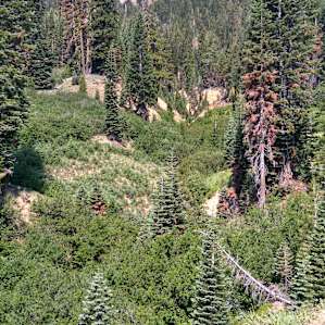 RV Park near Lassen National Park