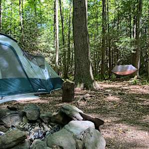 Owl Grove site