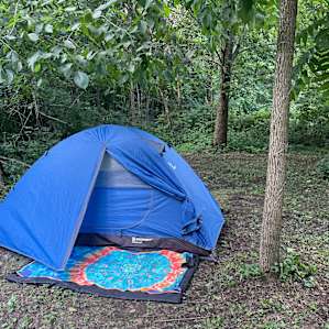 Plenty of room for tents without being crowded in one space