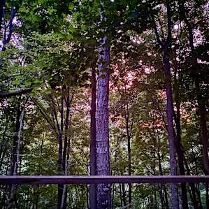 Beech Hollow Hideout