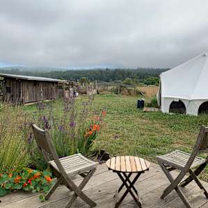 The Cowgirl Kitchen