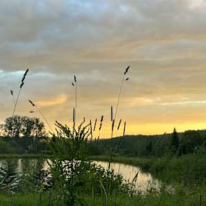 Spring Pond Campsite