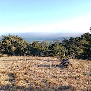 Arroyo Grande