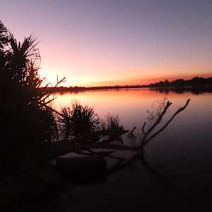 Upper Ord River Camp