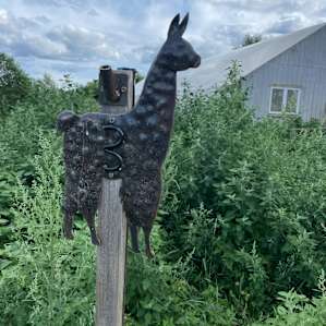 Amanda's Alpaca Farm