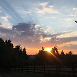 Sunset
