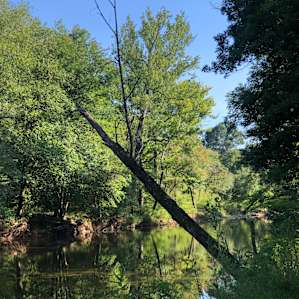River in the opposite direction.