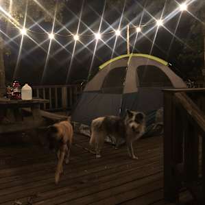 I chose to pitch my tent on the deck so I could wake up in the morning to see the river.