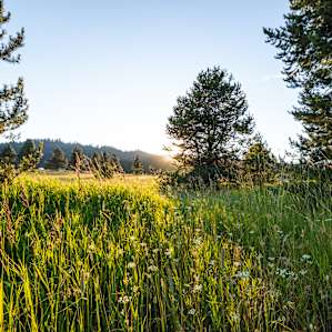 23 Acres of Peace. Cascade, Idaho