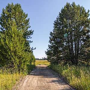 23 Acres of Peace. Cascade, Idaho
