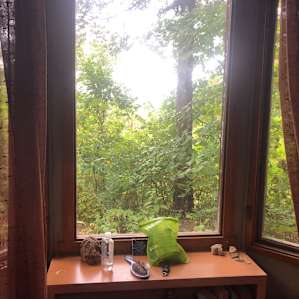 View from outhouse