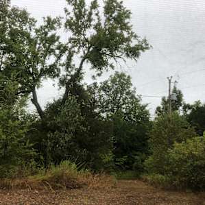 View from campsite!