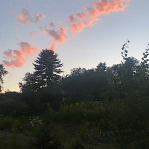 Amanda's Alpaca Farm