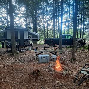 Beaver Bug Campsite