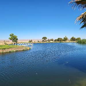 Twisselman’s Glamping by the Pond