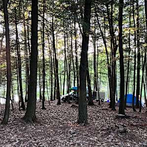Camp Escape: The Woods