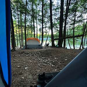 Camp Escape: The Woods