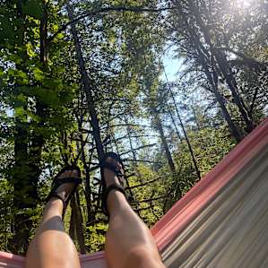 Trees, Creeks, and Waterfalls!