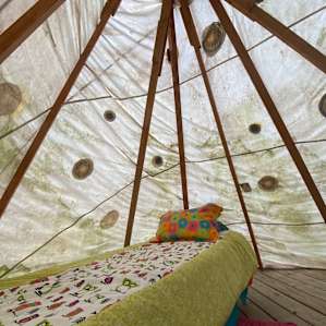 Tee Pee: Your Front Row to the Star