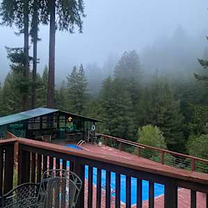 lovely fog. such a good break from our 100• weather.