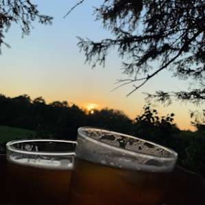 Beautiful sunset