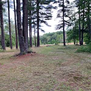 9 Acre Woods Tent Camping