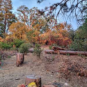 Manzanita trail to the outhouse