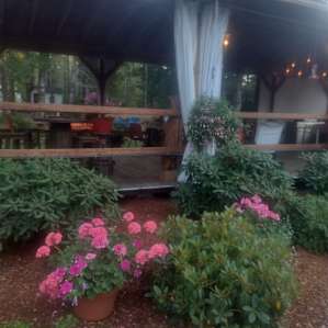 campsite 109