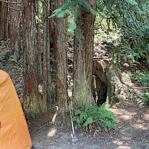 Site 2 trailhead