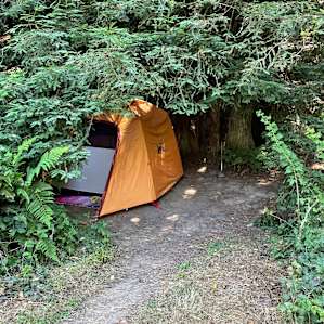 Site 2 just inside the meadow edge