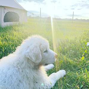Homestead/Hobby Farm #2