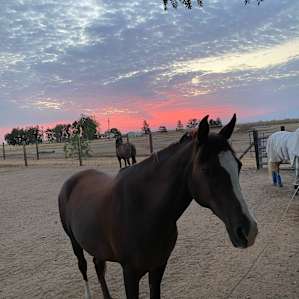 Hirst Horse Ranch Sites #3-5