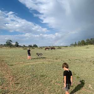We Have 15 Beautiful Camp Sites