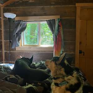 Cozy Tree Cabin on the Pond