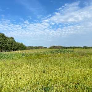 Elk Island Getaway