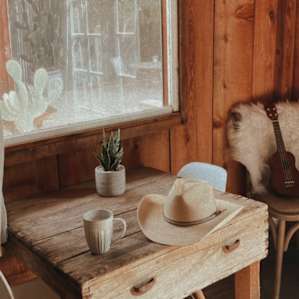...the coziest cabin! Perfect in the summer, would love to come back and see it in the fall too!