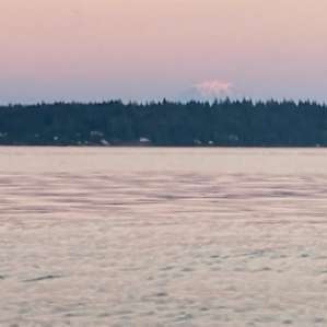 Treasure Cove Oyster Camp