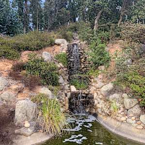 Waterfall & koi pond where you can feed the fish.