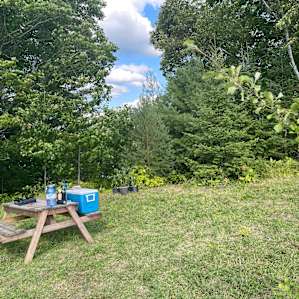 Unplug and Unwind