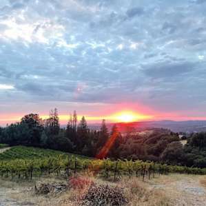 Glamp at a winery and vineyard