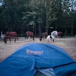 Hobby Farm Off Grid Camping!