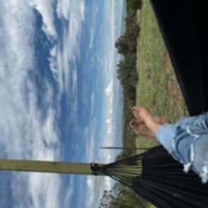 Freedom at Shanti - #1 HipCamp NM